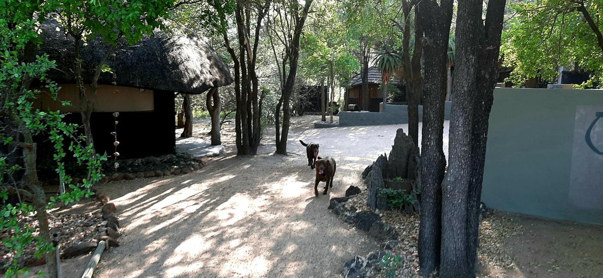 הודספרויט Off Beat Safaris Bush Lodge מראה חיצוני תמונה