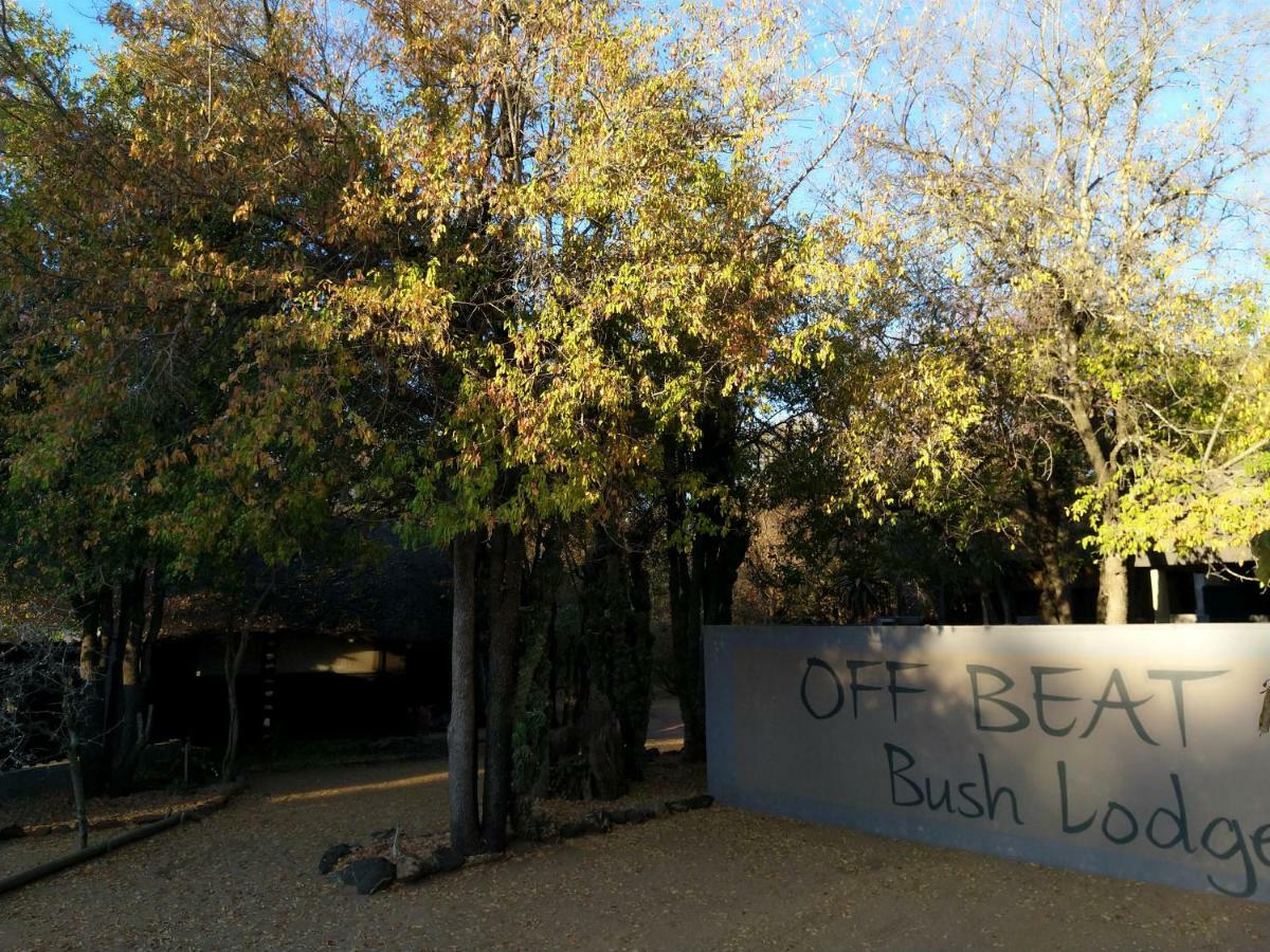 הודספרויט Off Beat Safaris Bush Lodge מראה חיצוני תמונה