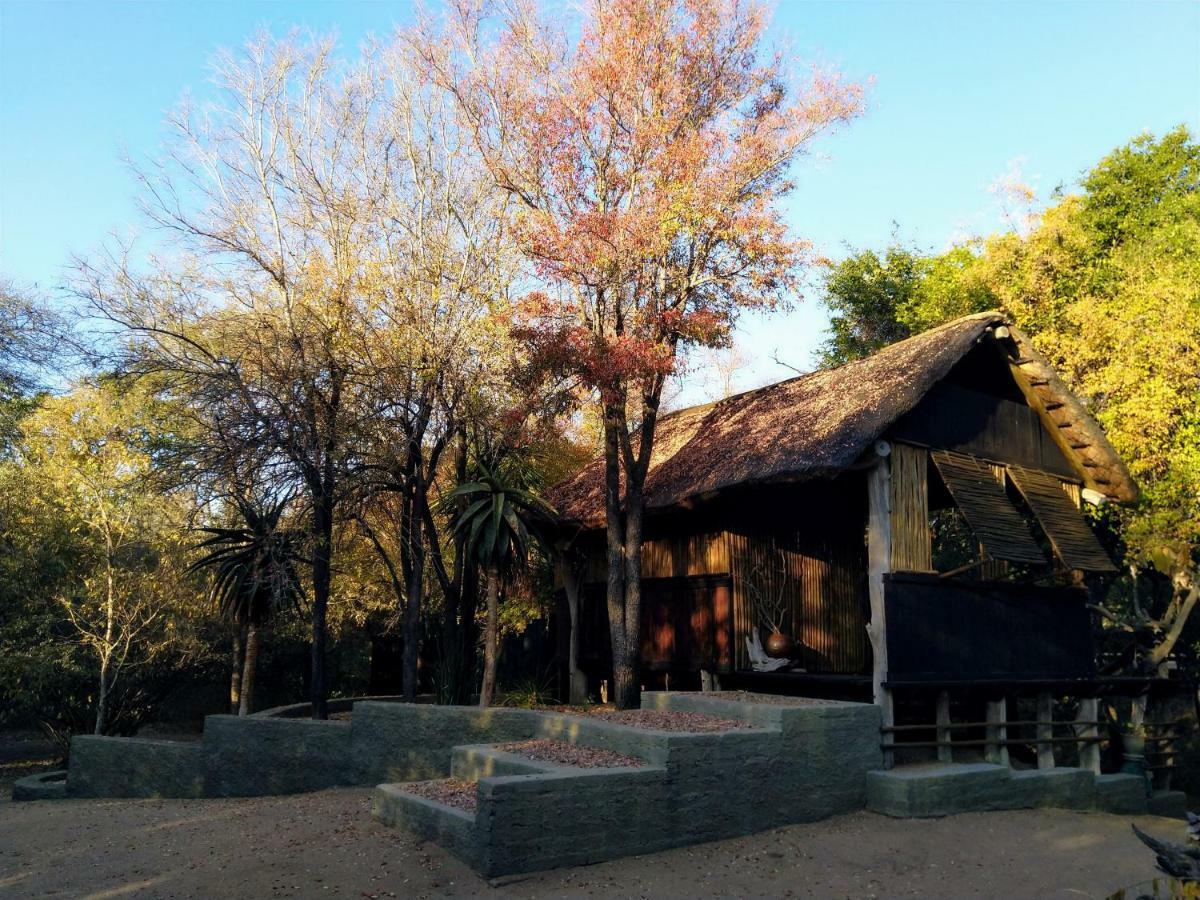 הודספרויט Off Beat Safaris Bush Lodge מראה חיצוני תמונה